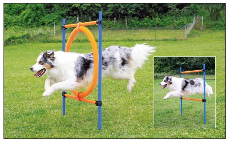 swisspet Agility Sprungring